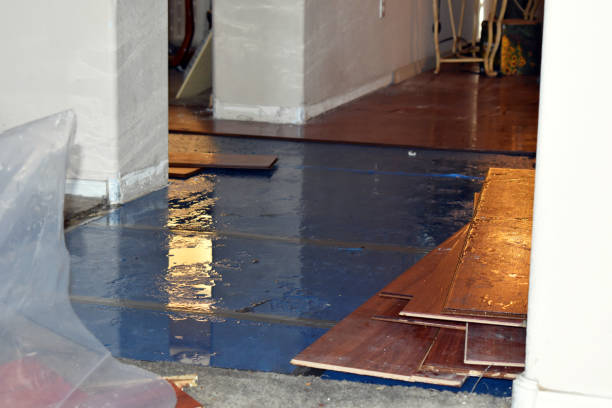 Professional Emergency Water Damage Restoration technician working in Port Hope, MI